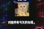 吃瓜娱乐圈课代表八卦,揭秘明星幕后故事